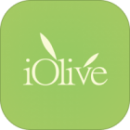 Olio Oliva olive iOlive Startup Agroalimentare Italia Crowdfunding Mashmallow blog Mashcream